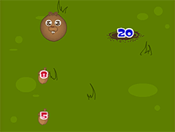 Counting Squirrel - Thinking - GAMEPOST.COM