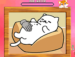 Cat Belly Rub