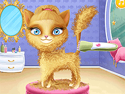 Cat Hair Salon - Girls - GAMEPOST.COM