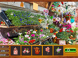 Hidden Flowers - Arcade & Classic - GAMEPOST.COM