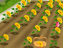 Clara Flower: Farming Game - Girls - GAMEPOST.COM