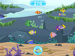 Find the Fish - Skill - GAMEPOST.COM