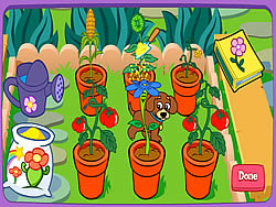 Dora's Magical Garden
