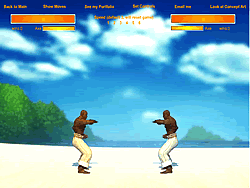 Capoeira Fighter