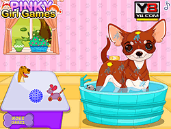 Chihuahua Puppy Care Game