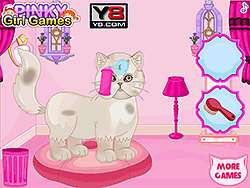 Persian Cat Princess Care