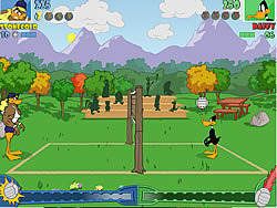 Tricky Duck Volleyball